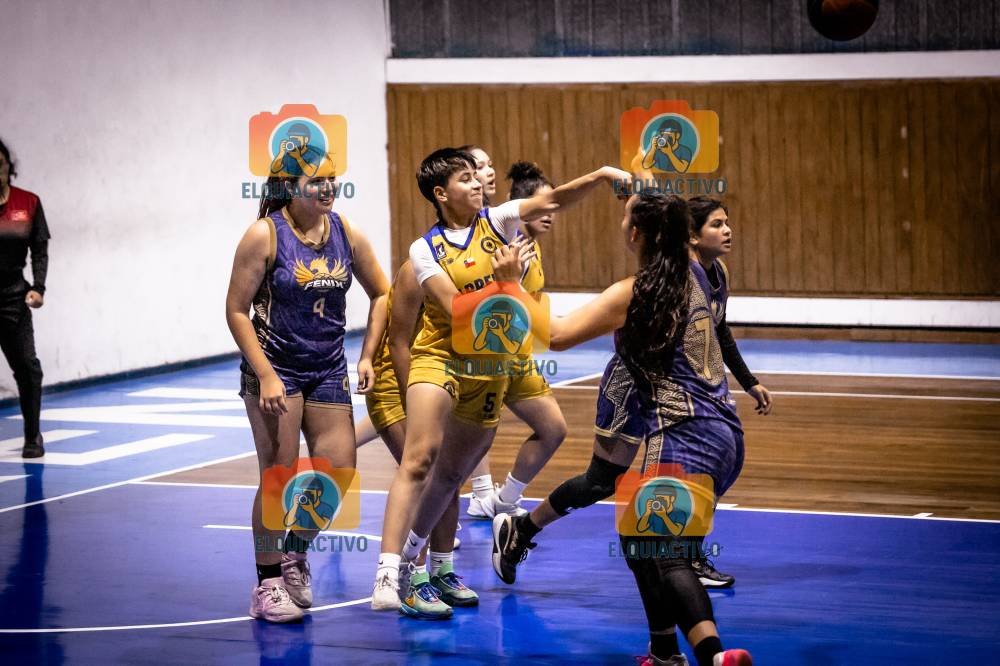 Fotografía del evento Carrera Vs Fenix